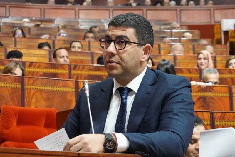بنسعيد: الصحافة ركيزة الديمقراطية والمجلس الوطني للصحافة سيحصل على صفة جديدة