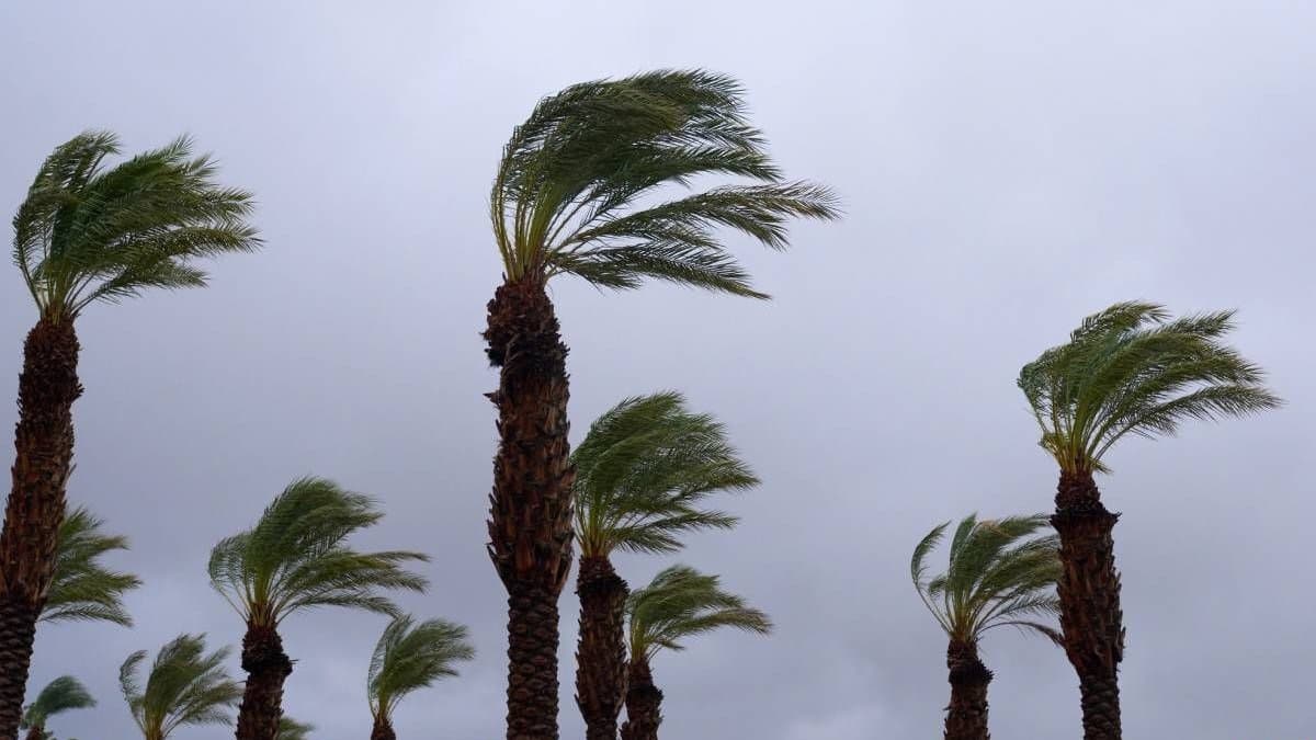 تحذير جوي: أمطار ورياح قوية وثلوج بالمغرب