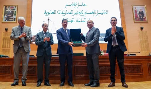 دليل عملي لمعالجة المنازعات الغابوية