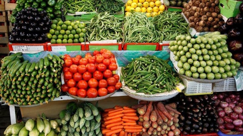 الخضر والفواكه: المغرب يتصدر موردي إسبانيا بقيمة 890 مليون يورو