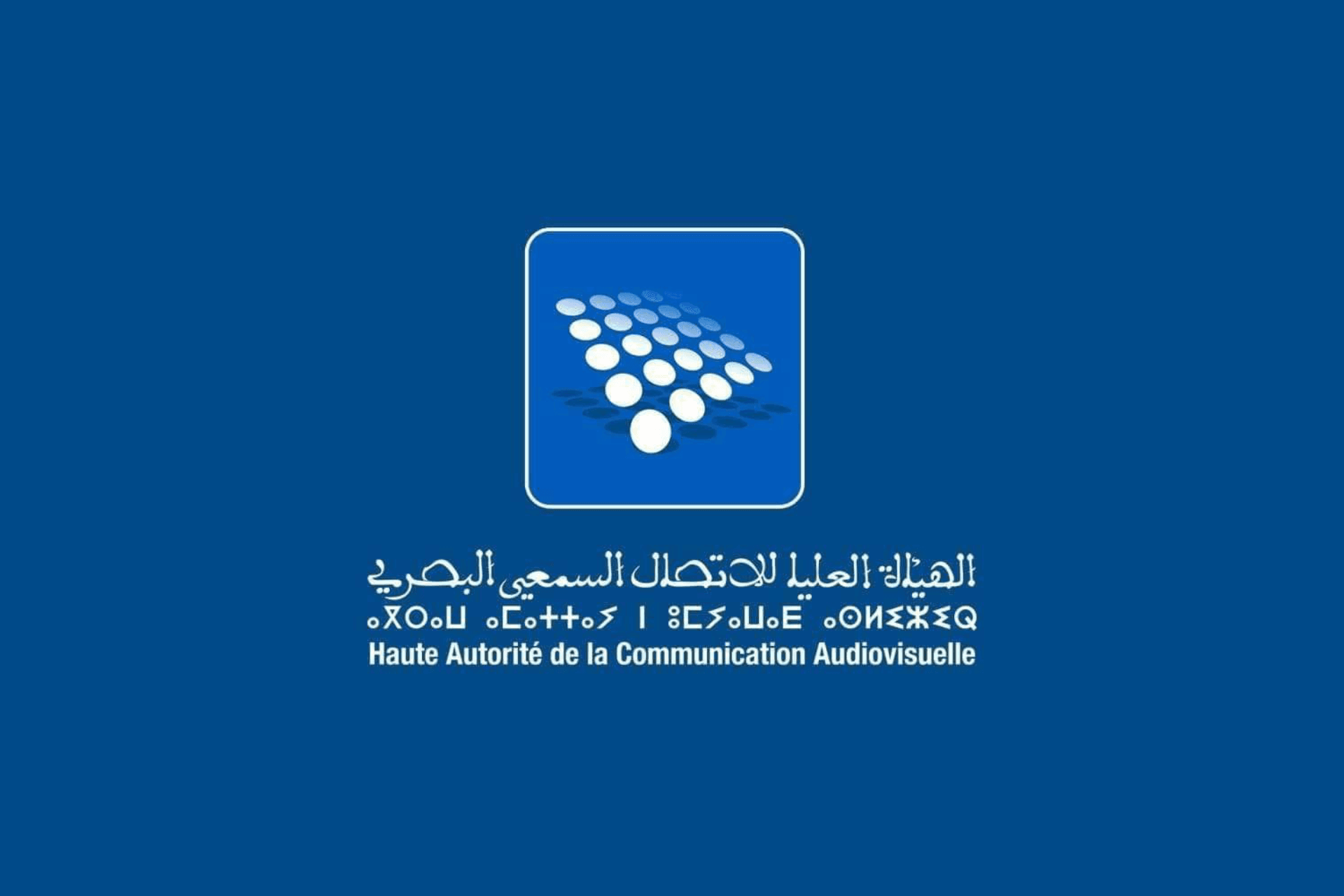 الهاكا تحذر من التضليل السياسي عبر شبكات التواصل
