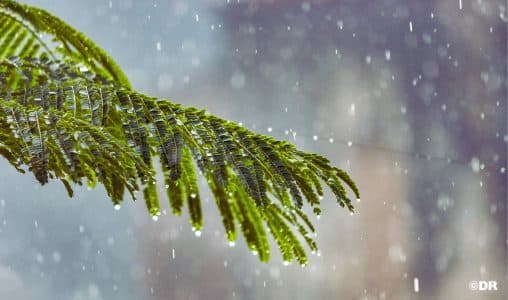طقس : أمطار رعدية وزخات برد ورياح قوية