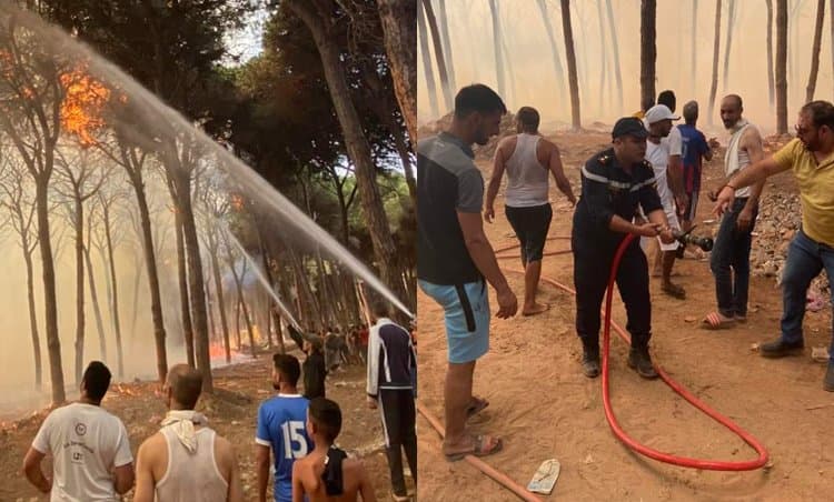العرائش … السيطرة على حريق غابة لايبيكا