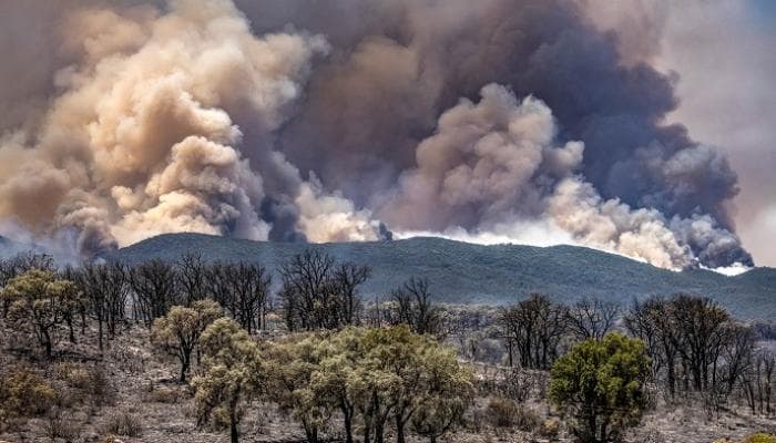 الجزائر … السلطات تعلن السيطرة على كل الحرائق الغابوية