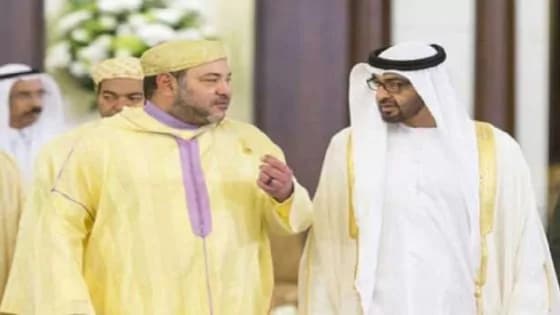الملك يرسل برقية تعزية إلى رئيس الإمارات