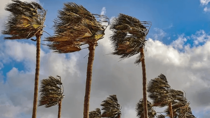 نشرة إندارية: رياح قوية وتطاير الغبار في العديد من أقاليم المملكة
