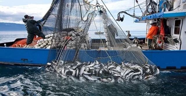 المغرب واليابان عازمان على تعزيز تعاونهما في مجال الصيد البحري وتربية الأحياء المائية
