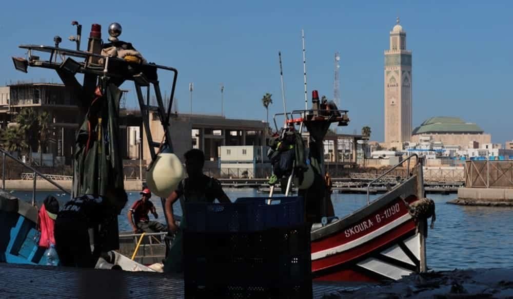 الصيد بالمغرب: انخفاض في الحجم واستقرار في القيمة