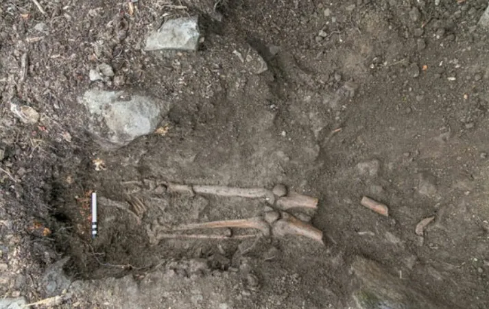 إقليم خريبكة … عظام بشرية تستنفر الدرك الملكي