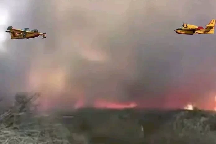 MAGHRAOU-incendie-taza-1