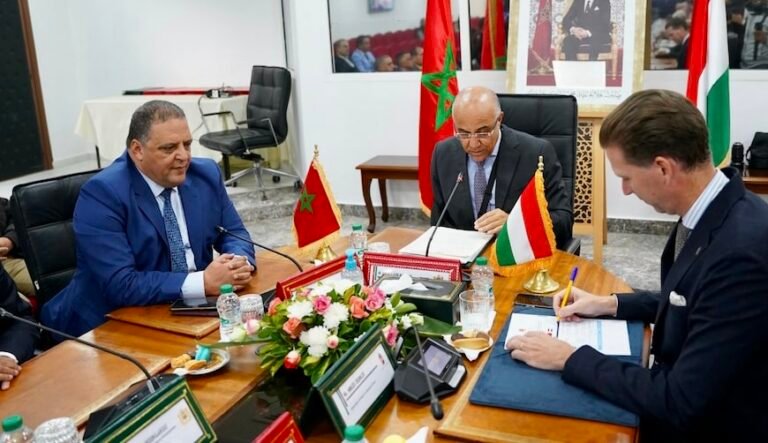 المغرب وهنغاريا.. تخصيص 22 مليون درهم لتمويل ستة مشاريع في مجال البحث العلمي.