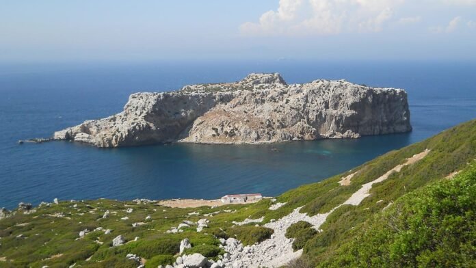 49ab0c9f520f03f7a19999c4bd728c5420240301210315