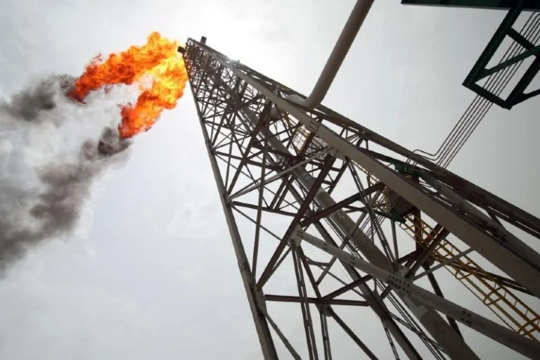 « شاريوت » تكشف نتائج التنقيب بلوكوس