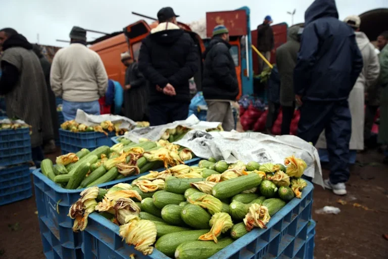 مهنيون يؤيدون تحجيم سيطرة الوسطاء لتخفيض أسعار المنتجات الفلاحية