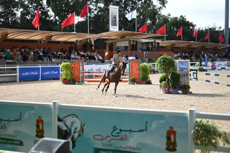 الرباط تستعد لفعاليات « أسبوع الفرس »
