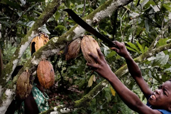 ea017d2b-1075-4c0d-a683-127b486d1daf