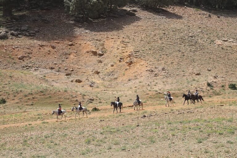 المجتمع المدني بسوس يُحَضر لأشكال احتجاجية بالرباط ضد إحداث منتزه طبيعي