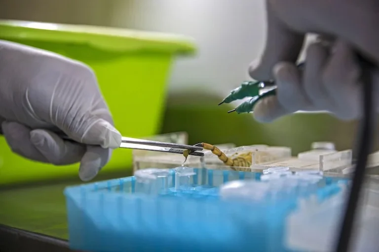 فصل الصيف يعيد المطالب بشأن توفير أمصال مضادة للسعات العقارب