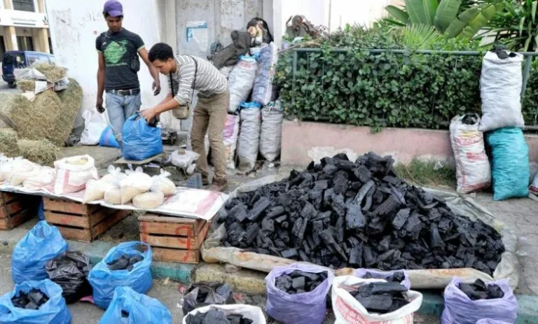 ارتفاع أسعار الفحم « الفاخر » قبيل عيد الأضحى في الأسواق المغربية
