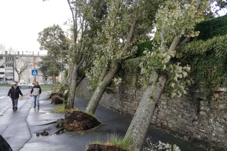 كيف أثرت العاصفة « سياران » على كوب الشاي في بريطانيا؟