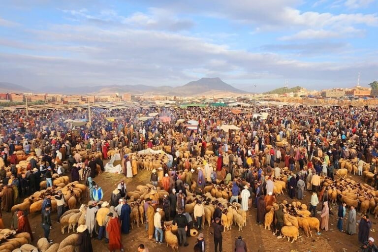 أجلموس تشهد ميلاد مشاريع إضافية