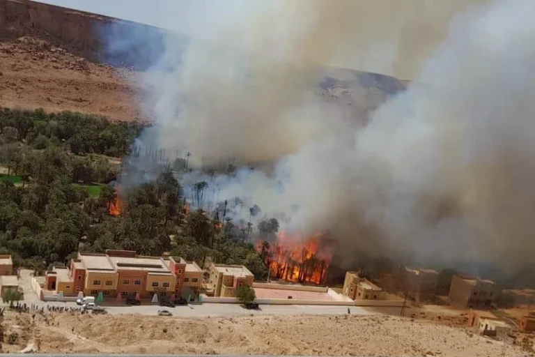 جمعويون ينادون بإنقاذ واحات المغرب