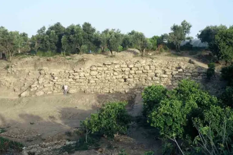 السوريون عرفوا الحميات الغذائية الصحية الحديثة قبل 4000 سنة