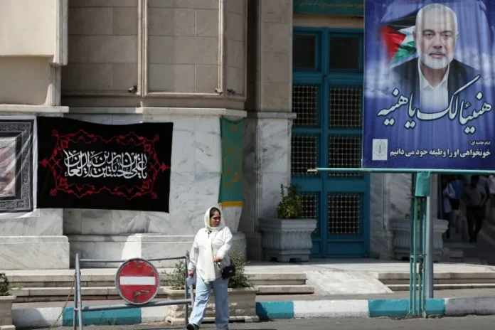 12421447-1-1723129319