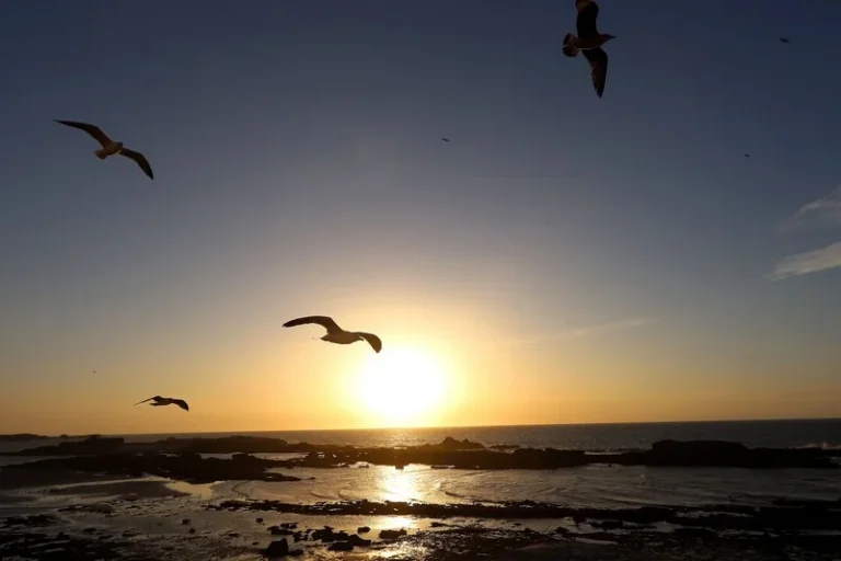 توقعات طقس اليوم الأحد بالمغرب