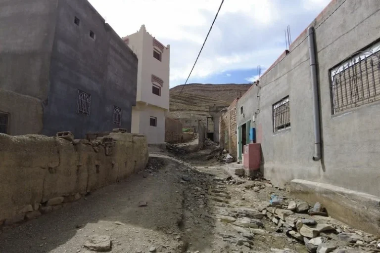 بعد السيول الجارفة .. ساكنة الجنوب الشرقي تتخوف من تزايد خطر العقارب