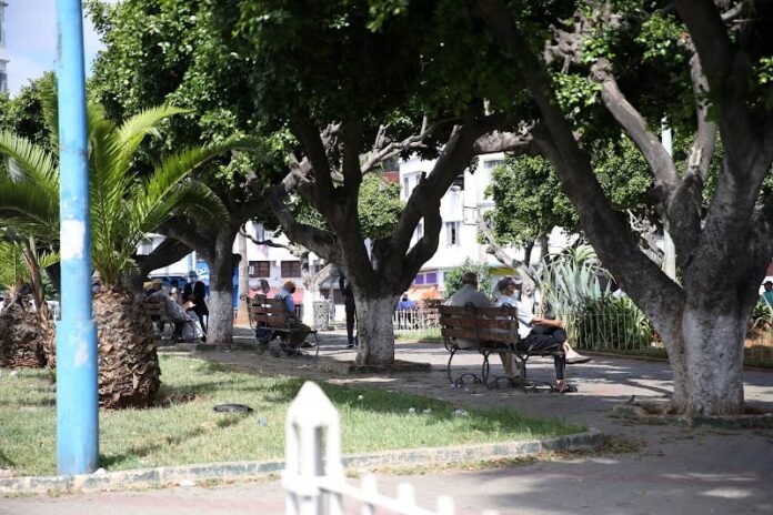 jardin-chaleur-climat3