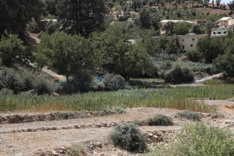 السموني: العفو الملكي قرار إنساني شجاع