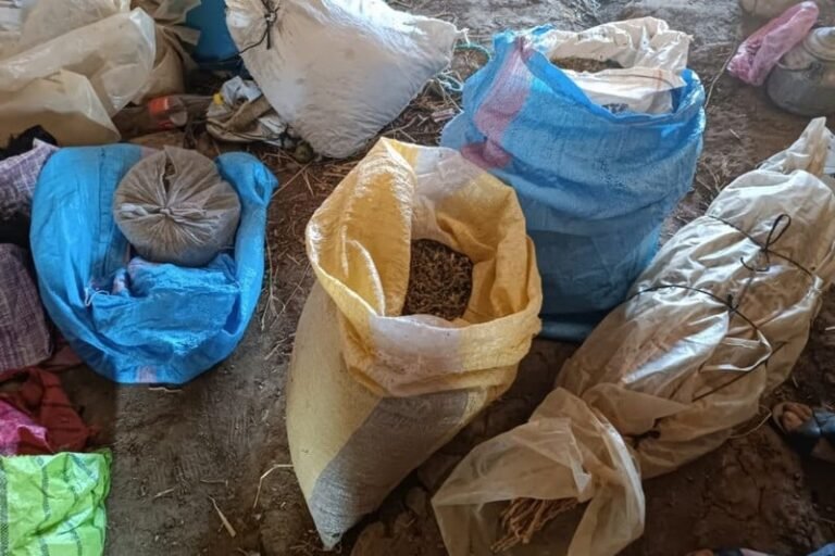 الدرك يحجز « مسحوق الشيرا » ببني جرفط