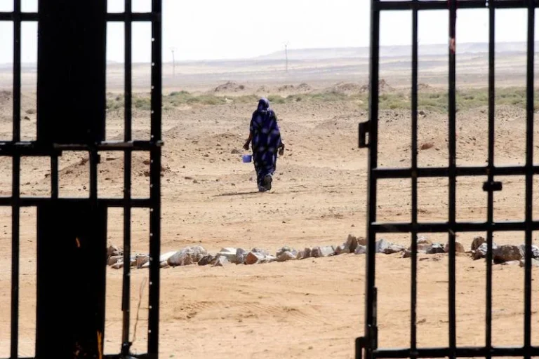 منظمات حقوقية تنبه إلى خطورة الوضع الإنساني في مخيمات تندوف وغزة