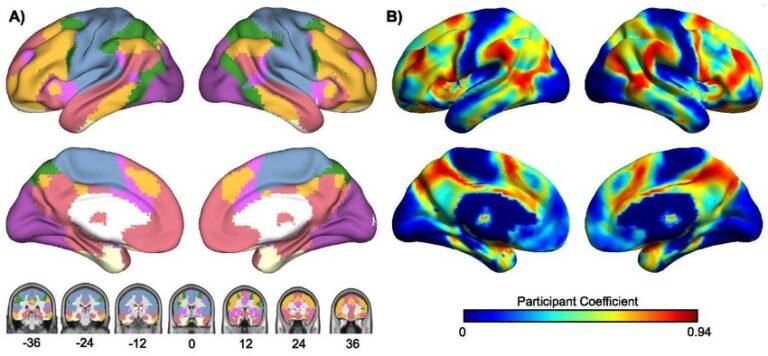 أهمية الدراسات الطبية في اختبار العلاجات وتصنيف موثوقيتها