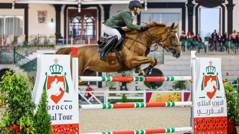 الرباط: تنظيم البطولة الرسمية للقفز على الحواجز لفئة الخيول الشابة