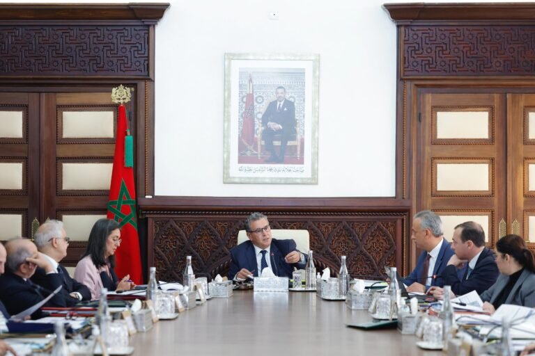 رئيس الحكومة يؤكد أهمية قطاع الأدوية لتحقيق السيادة الدوائية بالمغرب