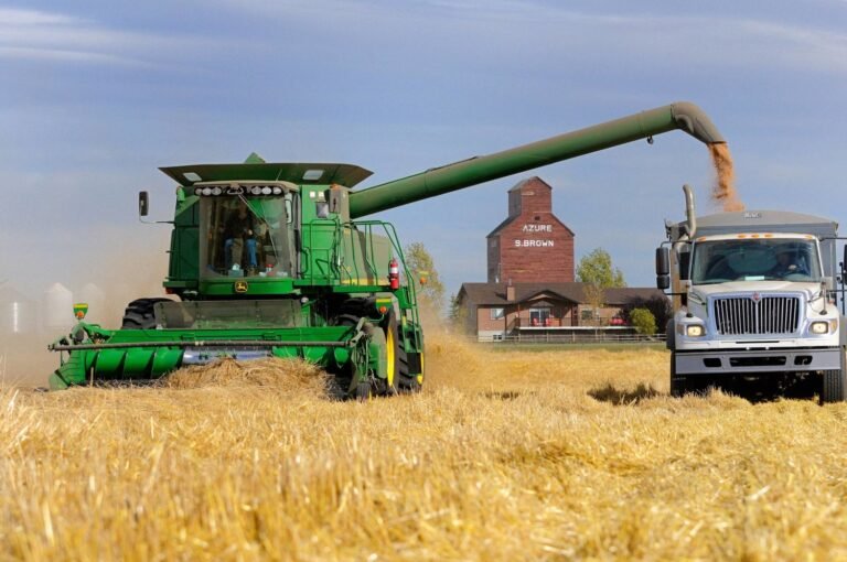 تراجع صادرات القمح الروسي إلى المغرب في النصف الثاني من فبراير