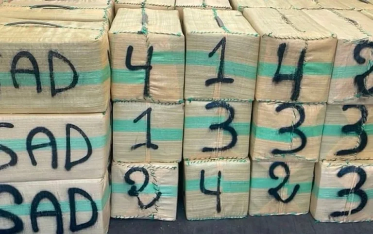 إحباط محاولة لتهريب خمسة أطنان و758 كيلوغراما من مخدر الشيرا بطنجة