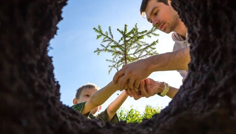 وعد زرع «مليار شجرة»: هل هو فكرة جيدة؟