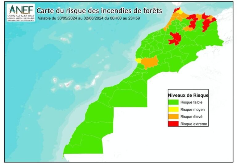 الحرائق الغابوية: وكالة المياه والغابات تنشر خرائط دقيقة لمناطق الخطر