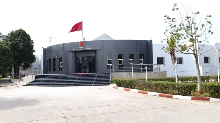 إيرادات السينما المغربية تتجاوز 58.3 مليون درهم في 2024