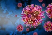 فيروس نيباه: لماذا الهند في حالة تأهب؟