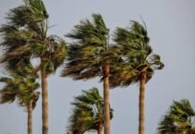 عواصف رملية مرتقبة بعدد من الأقاليم