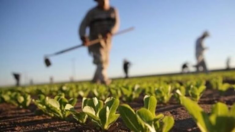 أمطار الخير تعيد الأمل للفلاحين بالدار البيضاء–سطات