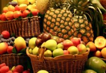 تشيلي تراهن على المغرب لتعزيز صادرات الفواكه