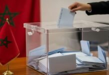 انتخابات 2026: المغاربة بين واجب التصويت وأزمة الثقة