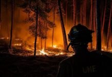 إسبانيا: حريق ضخم يلتهم 32 ألف هكتار قرب مدريد